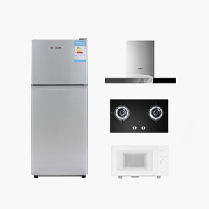 （油烟机不拆机+燃气灶台面+单/双门冰箱+微波炉）清洗