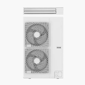 风管机、天井机清洗（一拖二）